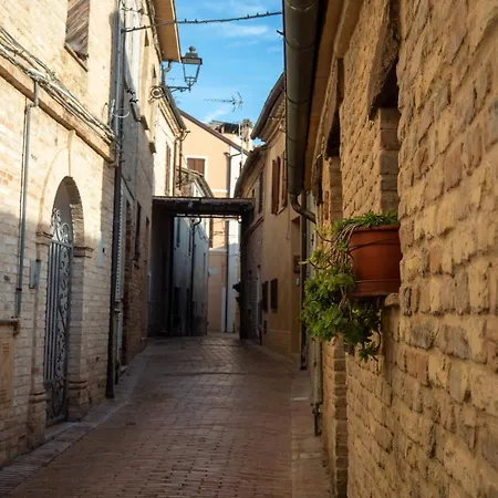 Domus Borgo - Loft Moderno In Centro Storico Διαμέρισμα